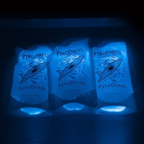 PyroDino 3 Pack (Bioluminescent Algae)