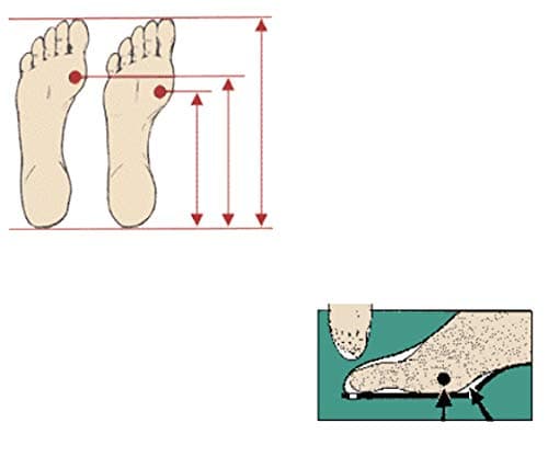 Brannock Instruction sheet