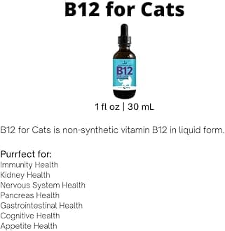 Jackson Galaxy: B12 for Cats-Dietary Supplement-Supports The Health of Your cat’s Immune System, Nervous System, Digestive System & Cognitive Function.