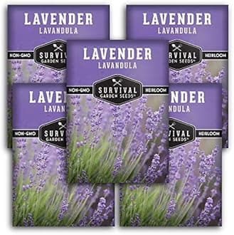 English Lavender Seeds for Planting (Lavandula angustifolia) – Edible Culinary Herb with Fragrant Blooms, Hardy Perennial for Outdoor or Indoor Gardens – Survival Garden Seeds (5 Packs)