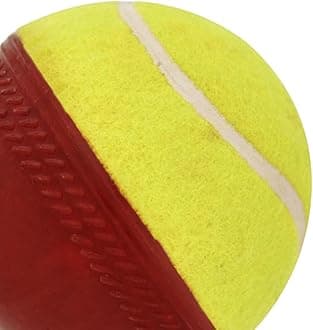 Omtex Men's Cricket Ball