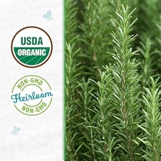 Seed Packet - Rosemary