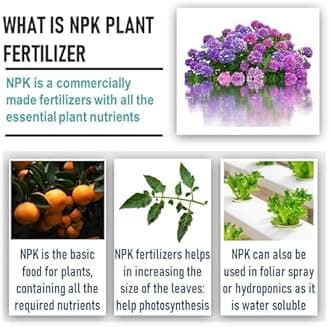 Rimi Garden NPK 10:10:10 for Plants (900 gm)