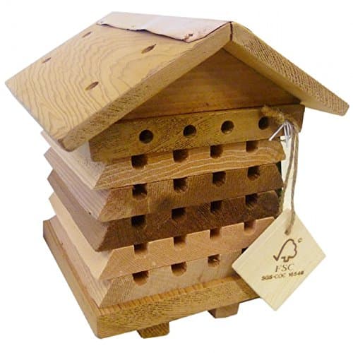 Interactive Solitary Bee Hive