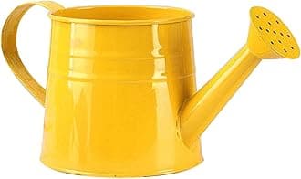 Watering Can,Gardening Tool Accessories, Sprinkling Can Plant Watering Can 1L Metal Flower Garden Watering Can for Outdoor Indoor Plants Lawn Garden (C)