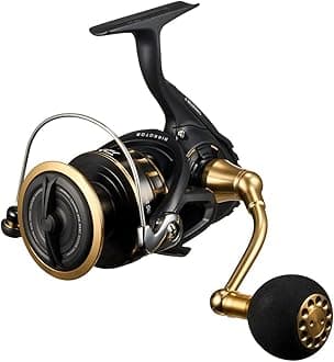 Daiwa (DAIWA) Spinning Reel 23BG SW 4000-18000 Various (2023 Model)