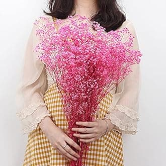 Natural Dry Flower Gypsophila Fresh Dried Preserved Flowers Gypsophila Paniculata Breath Flower Bouquets For Wedding Party Home Dekoration (white,30-40cm30g)