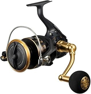 Daiwa (DAIWA) Spinning Reel 23BG SW 4000-18000 Various (2023 Model)