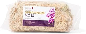 rePotme Premium Organic Sphagnum Moss, Orchid Moss - 2 Quarts (When Hydrated)