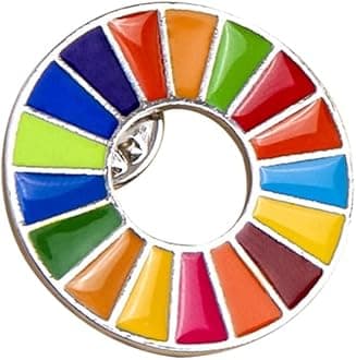 The Sustainable Development Goals Brooch United Nations SDGs Rainbow Pin Badge