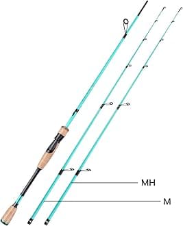 Sougayilang Fishing Rod, 2Pc Casting Rod Spinning Rod for Freshwater Tournament Quality Fishing Pole with 2 Tips for Bass