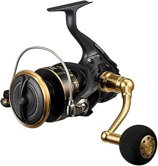 DAIWA Spinning Reel 23BG SW 4000-18000 Various (2023 Model)