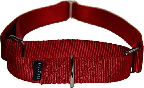 iPet Gear Basic Collar (Burgundy Red, 1" Medium)