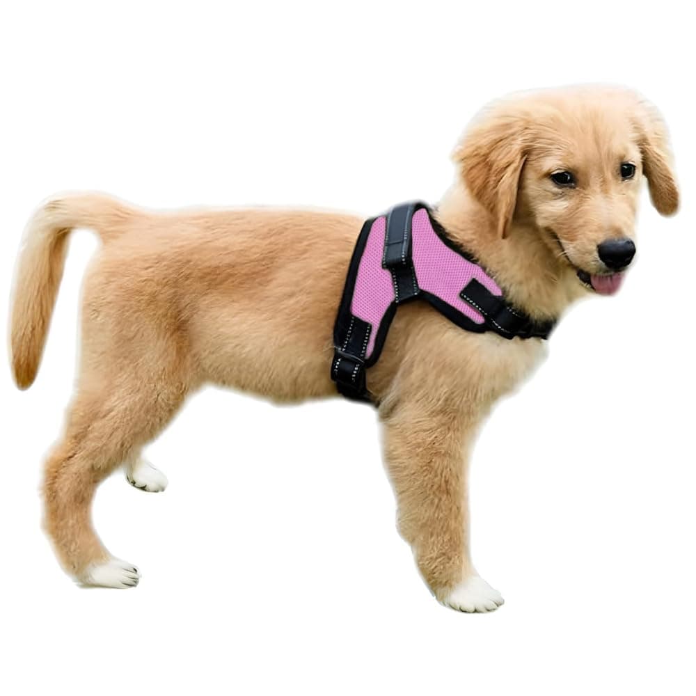 No Pull Reflective Adjustable Dog Harness with Handle- Comfortable Soft All Weather Mesh, Easy On Puppy Harness for Small Medium and Large Dogs (Pink) Small