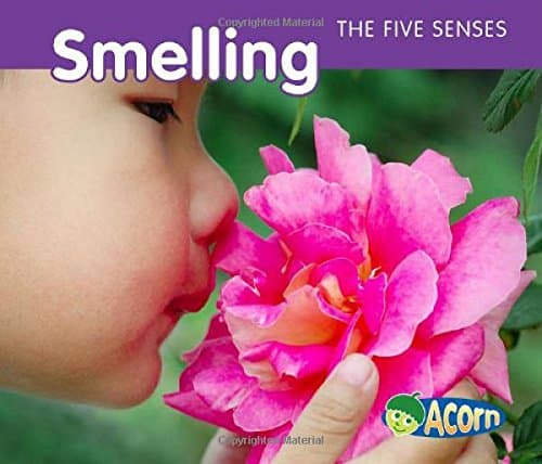 Smelling (The Five Senses)