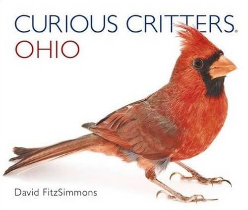 Curious Critters: Ohio