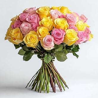 GlobalRose 50 Fresh Cut Roses - 25 Yellow & 25 Pink - Fresh Flowers Bouquet - Flowers for Valentine's Day, Birthday, Anniversary, or Home Decor (OM)