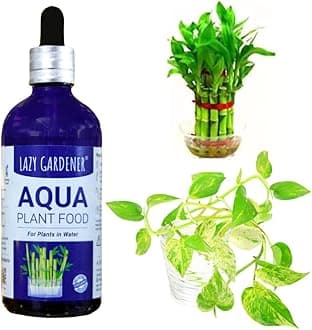 Lazy Gardener Aqua Plant Food | Organic Aqua Fertilizer | Liquid Plant Food for Money Plant & Lucky Bamboo | Organic Fertilizer for Indoor Plants (30ml)