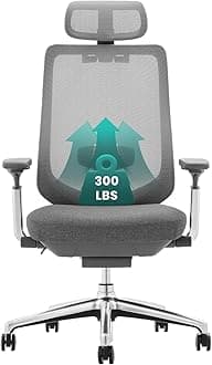 Ergonomic Mesh Office Chair, High Back Computer Executive Desk Chair with Adjustable Headrest and 4D Arms, Slide Seat, Tilt Lock, Dark Grey