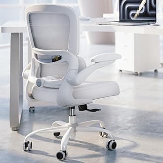 Office Chair - Ergonomic Desk Chair with Adjustable Lumbar Support, Mesh Computer Chair, Executive Chair for Home Office Comfortable Lumbar Support (White White)