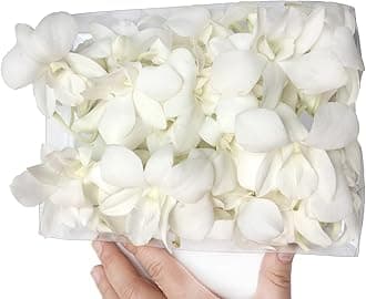 Miami FRESH CUT FLOWERS Orchid Loose Bloom OrchidClub USA by Sunne Tropical DIY Lei, food & drink decoration (50 WHITE)