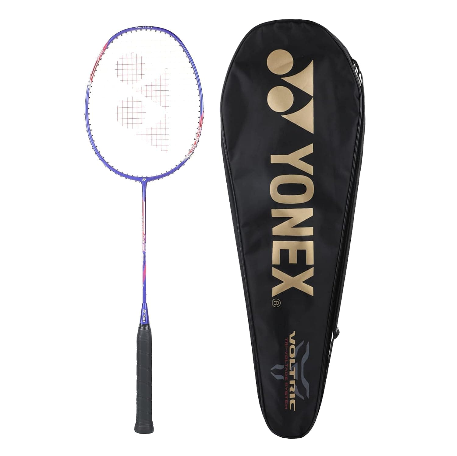 Badminton Set (4 Rackets/Posts/Net)