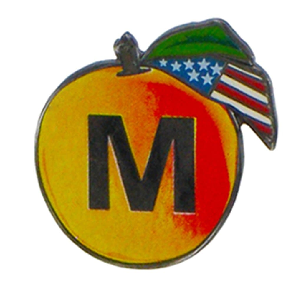 Impeach Lapel Pin