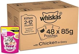 Whiskas Kitten (2-12 Months) Wet Cat Food, Chicken in Gravy Flavour, 48 x 85 g Pouches