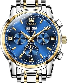 OLEVSAutomatic Watches for Men Tourbillon Self Winding Mechanical Luxury Business Stylish Stainless Steel Strap Luminous Waterproof Wrist Watch