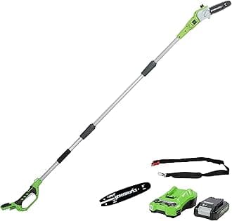 Greenworks Cordless long reach Pole Saw with 2Ah battery and charger + Guide Bar for Chain Saw (20 cm Oregon Bar)