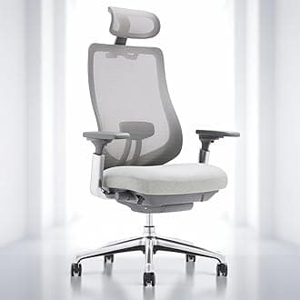 COLAMY Ergonomic Mesh Office Chair, High Back Executive Desk Chair with Adjustable Headrest, 4D Arm, Slide Seat, Tilt Lock, Lumbar Support, Light Grey