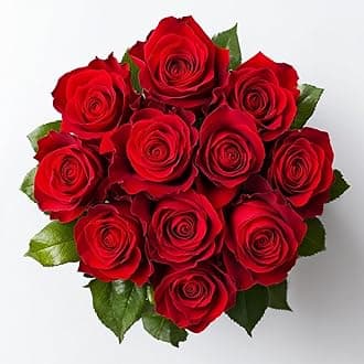 12 Red Roses Bouquet - Responsibly Sourced Roses Fresh Flowers - Hand-Picked Flowers Fresh Bouquet forValentine's Day, Birthday & Special Occasions (1 Dozen)
