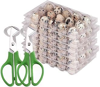 Quail Egg Cartons,15 Grids Small Egg Storage Holders,Quail Eggs Bulk Carton Trays & 2PCS Stainless Steel Cutter