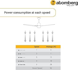 atomberg Efficio 1200mm BLDC Ceiling Fan with Remote Control | BEE 5 star Rated Energy Efficient Ceiling Fan | High Air Delivery with LED Indicators | 2+1 Year Warranty (Matte Black)