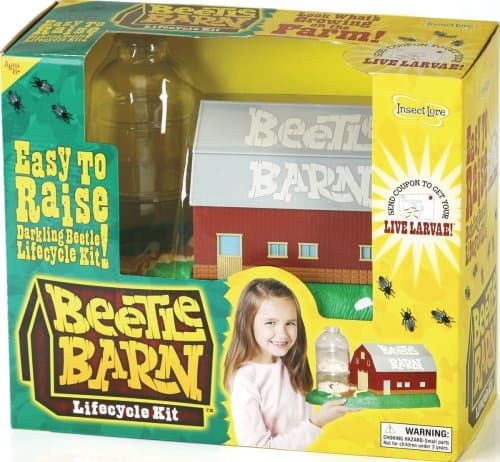 Insect Lore Beetle Barn