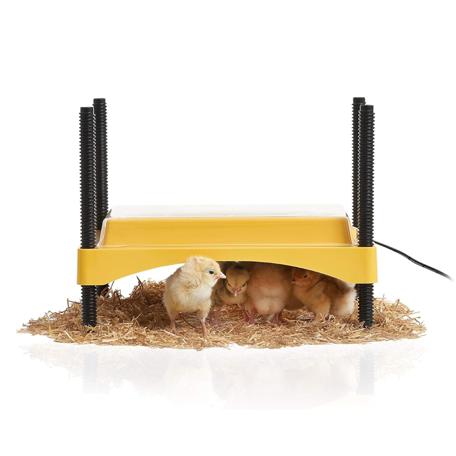 Ecoglow Safety 600 Chick or Duckling Brooder, Adjustable Height & Angle Brooder Plate for 20, Ideal for Chicken Coops Poultry Heating with Safety Indicator, 12 Watts