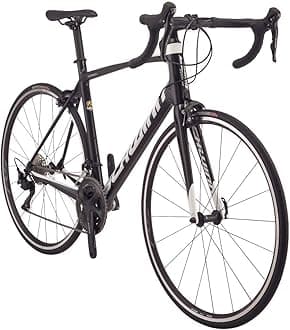 Schwinn Fastback Carbon Road Bike