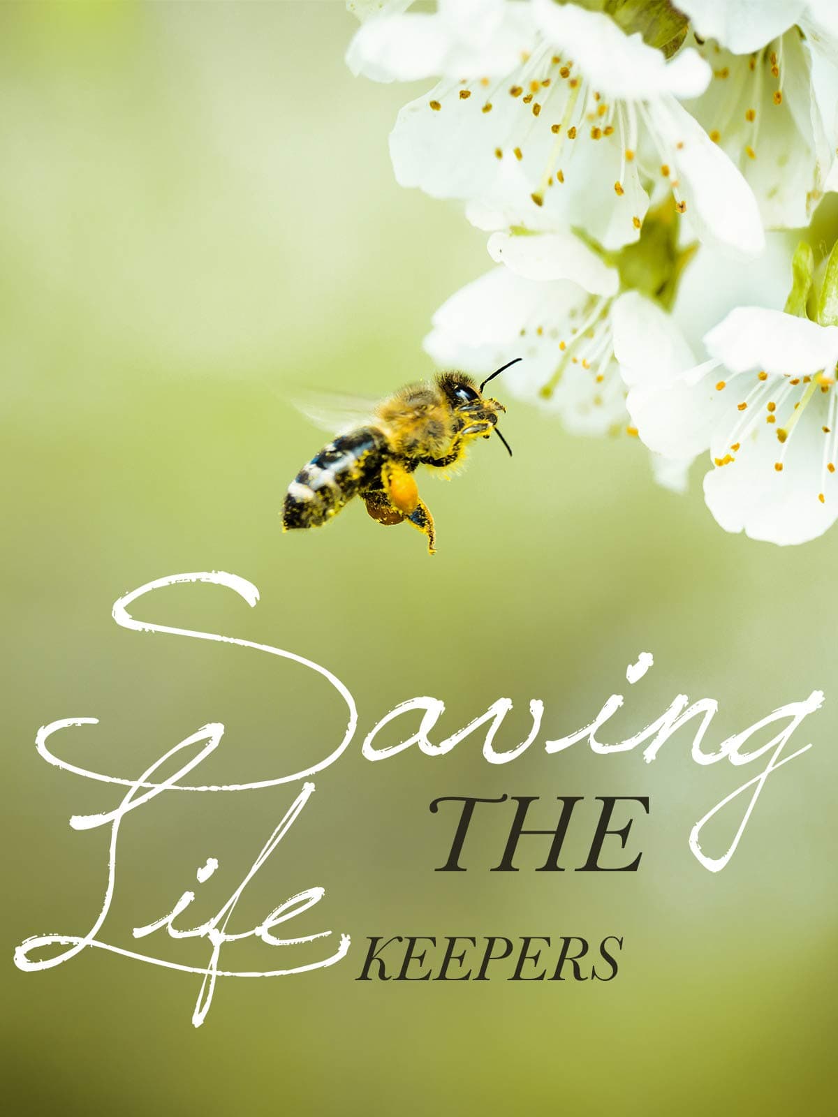 Saving The Life Keepers