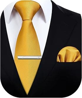 HISDERN Mens Ties Solid Color Wedding Ties and Pocket Square Neckties Clip Sets Business Formal Satin Ties for Men
