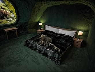 SOLARON Korean Super Thick Heavy Weight Mink Blanket (King, Bear and Cubs Green)