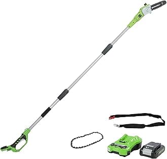 Greenworks Tools G24PS20K2 Cordless Pole Saw with 2 Ah Battery and Charger, 24 V, Green, 20 cm+Greenworks Tools Greenworks Saw chain for Chainsaw - 29507, black, 10 x 22.5 x 1.5 cm