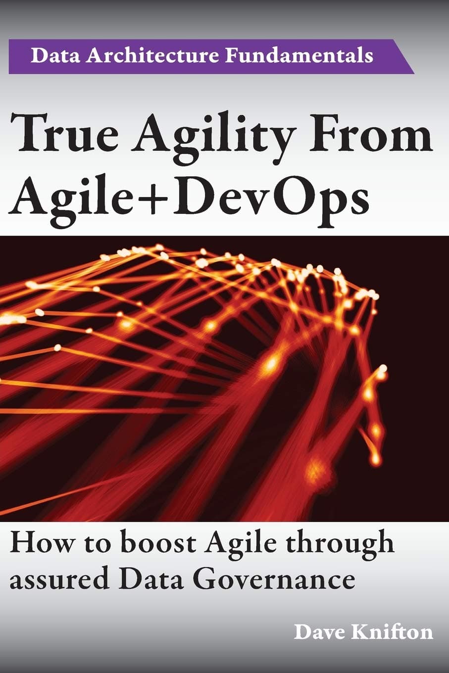 True Agility From Agile+DevOps: Assuring Data Governance And Boosting Agility Paperback – 26 May 2017