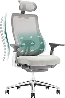 COLAMY Ergonomic Mesh Office Chair, High Back Computer Executive Desk Chair with Adjustable Headrest and 4D Arms, Slide Seat, Tilt Lock-Light Grey