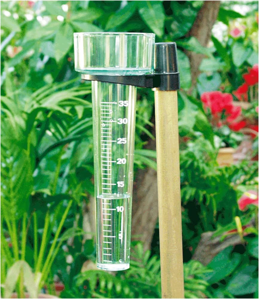 Rain gauge