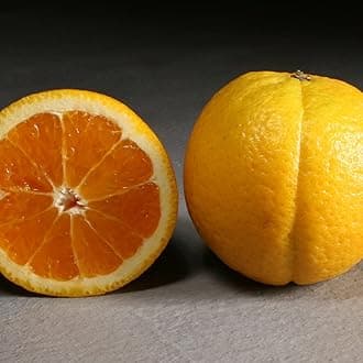 A Gift Inside Congratulations Sweet & Savory Farmstead Gift Basket