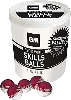 Gunn & Moore GM Cricket Ball | Rubber Training Skills Swing & Machine Balls | Men's Women's & Junior Sizes | Red White or Pink | Single, 6 or 24