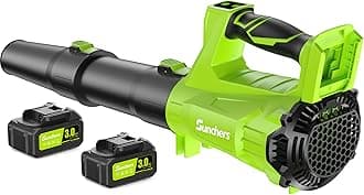 Leaf Blower Cordless with 2 x 3.0Ah Battery and Charger, 780CFM 260MPH Electric Blower with 2 Speeds, 20V Handheld Leaf Cleaner for Lawn Care, Blowing Leaves, Dust, Snow, Gravel for Patio, Yard, Green