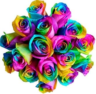 Fresh Rainbow Roses Bouquet by Flower Explosion - 36 Premium Stems