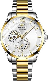 TEINTOP Ailang Series Men's Automatic Mechanical Watch with Steel Band