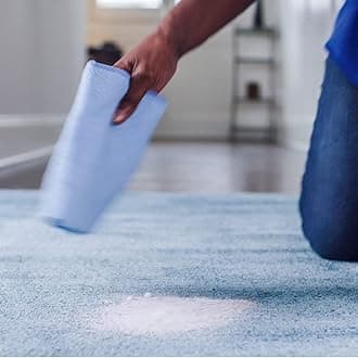 Zep ZUSPOT19 Instant Spot and Stain Remover, 19 oz (Pack of 2)